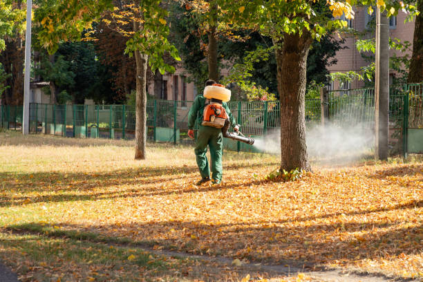 Best Mosquito Control Services  in Broadview Heights, OH