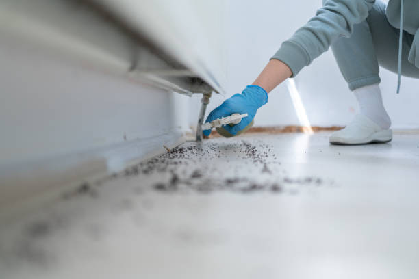 Best Cockroach Control Services  in Broadview Heights, OH